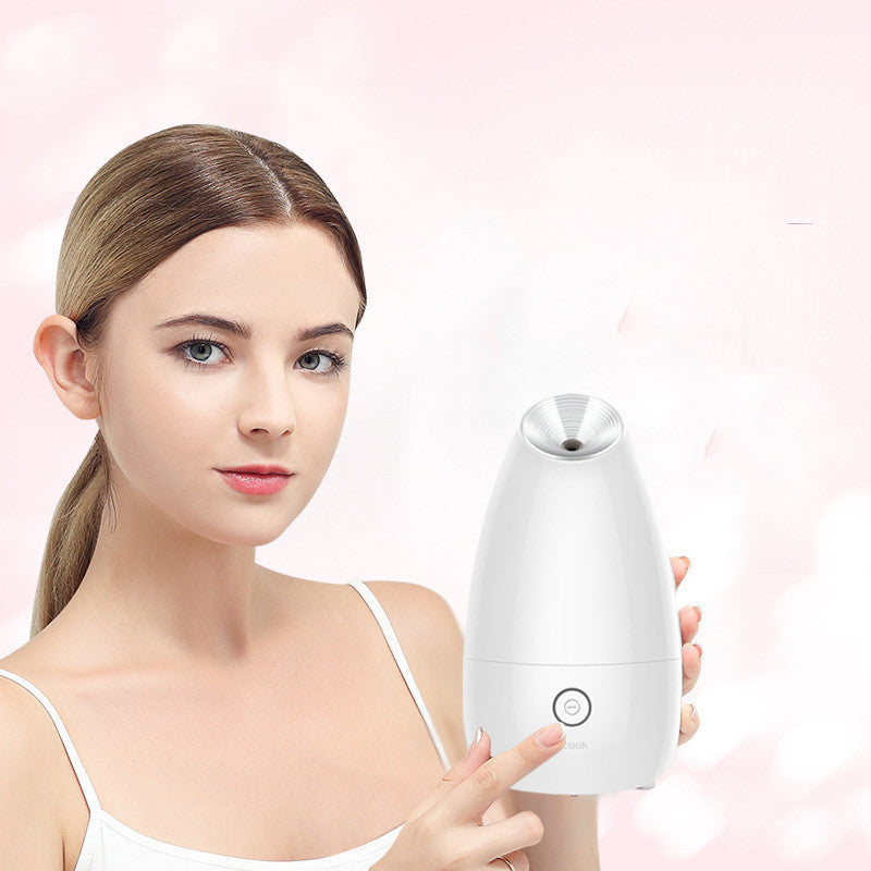 Face Steamer
